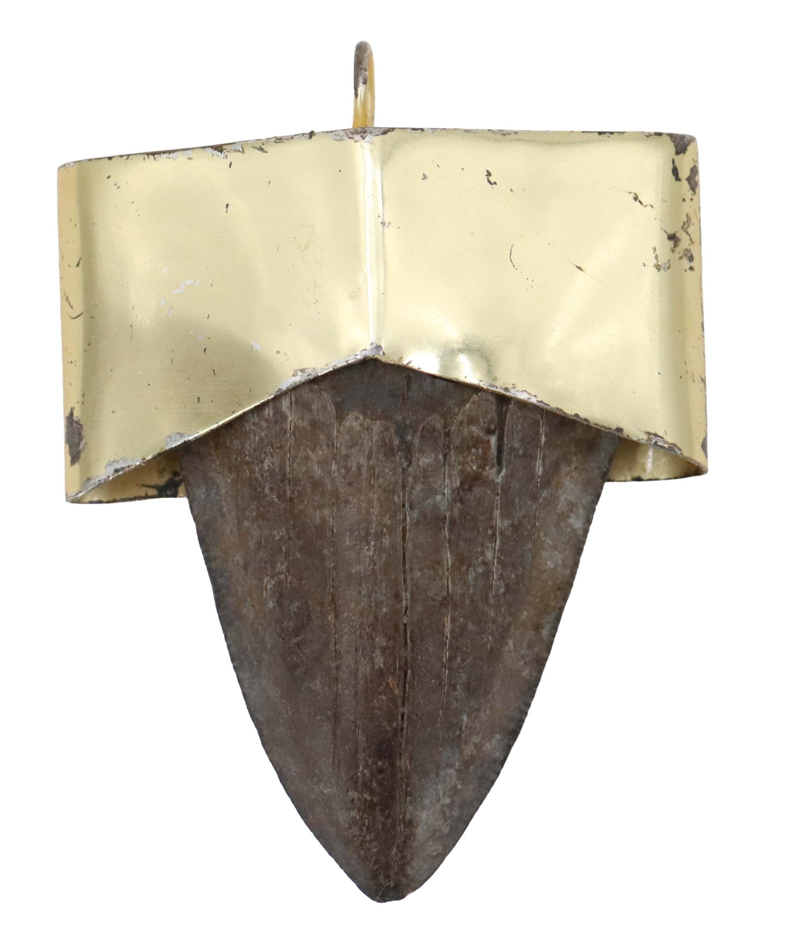 Fossilized Shark Tooth Pendant (1 of 11)