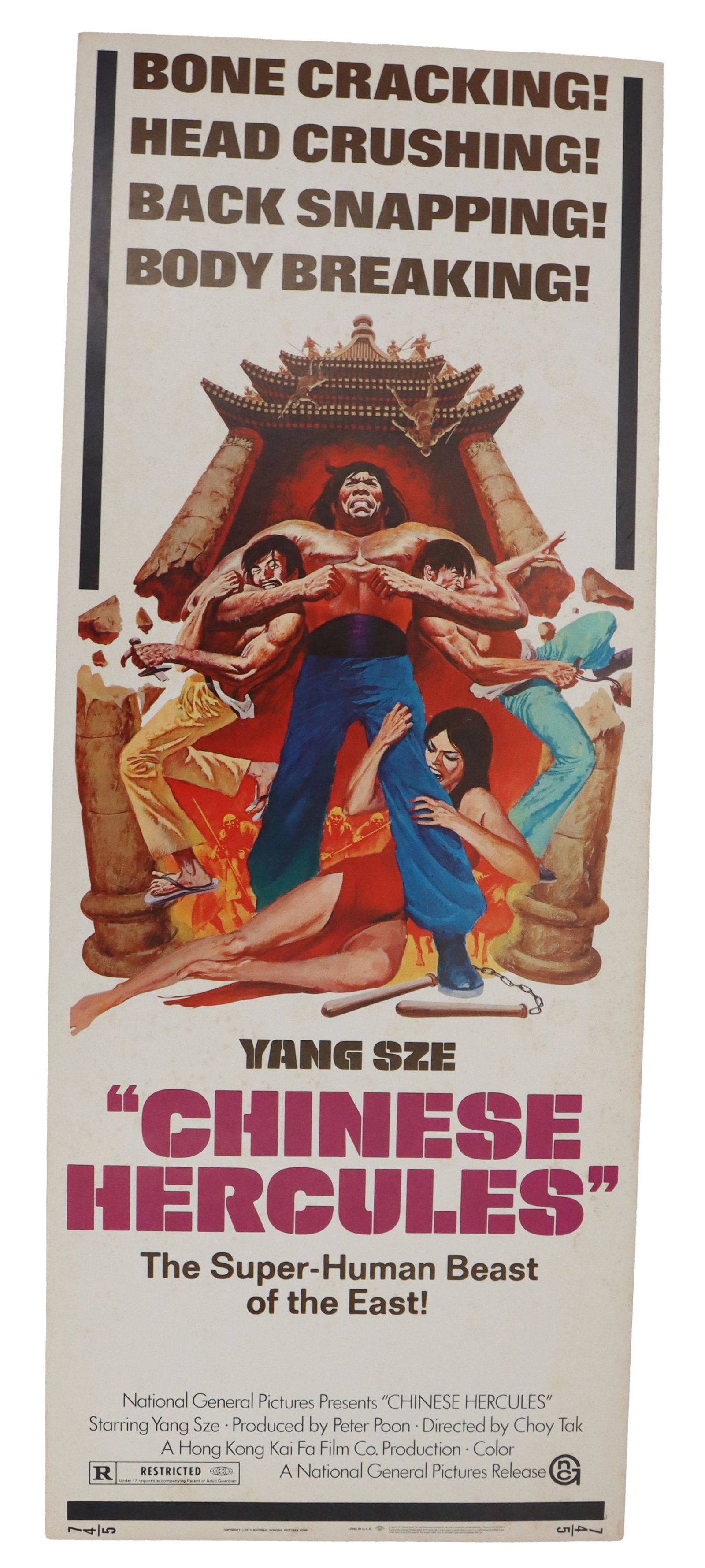 Original Affordable Easily Shippable Movie Poster Inserts - Chinese Hercules: Fun insert poster about a martial arts fighter, haunted by his past, takes a job as a dock worker in a small village. His vow never to fight again is tested by the cruel owner of the pier directed by 
