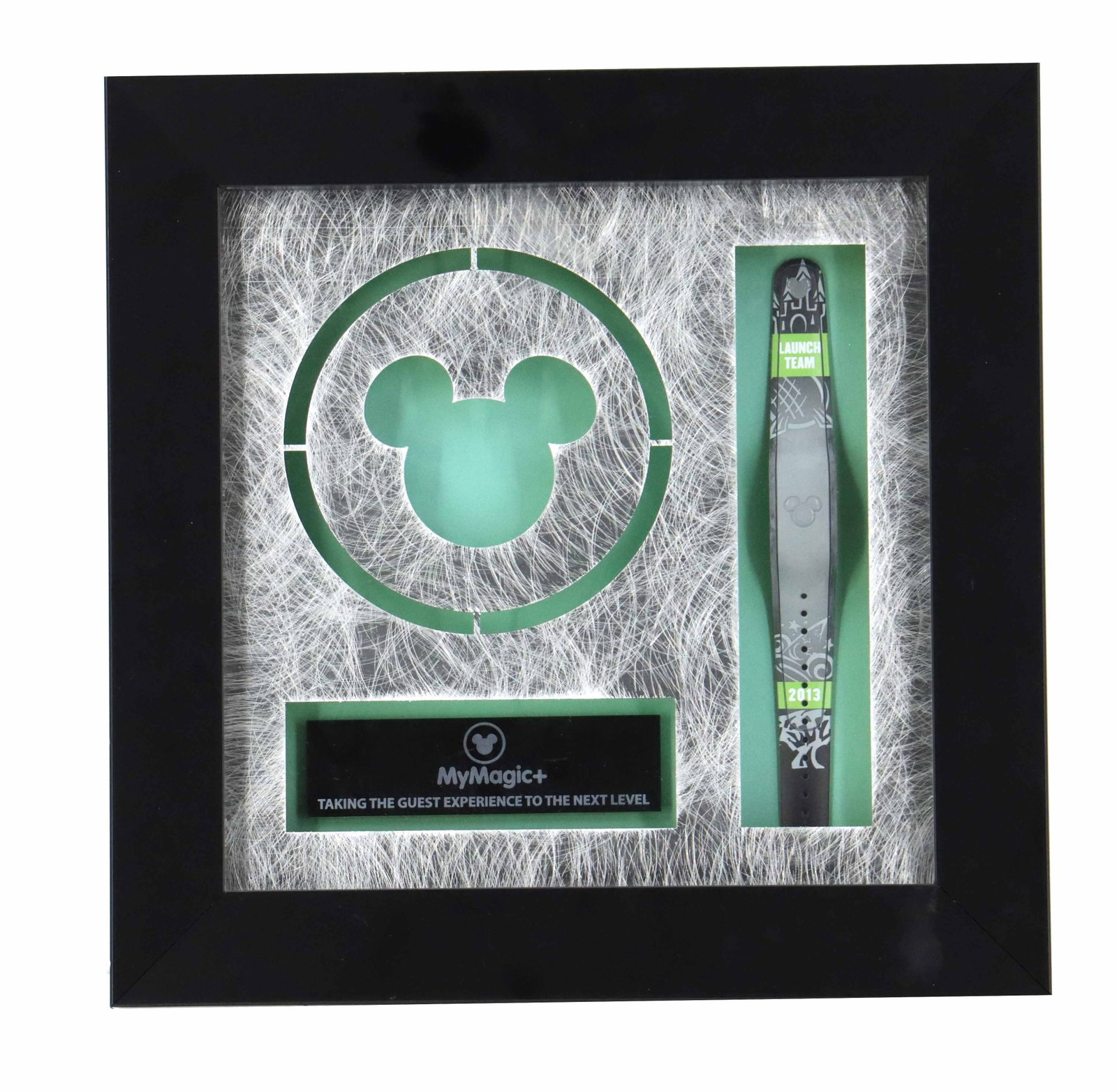 Rare 2013 Disney Launch Team MagicBand Award in Shadow Box (1 of 12)