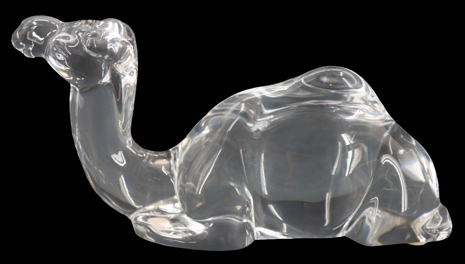Baccarat Crystal Camel Sculpture: Baccarat Crystal Camel Sculpture. A rarer form, with the camel lying down, his neck stretched up high. Signed on the underside. Size: 2 x 2 3/4 x 7 in. Baccarat Glass was established 