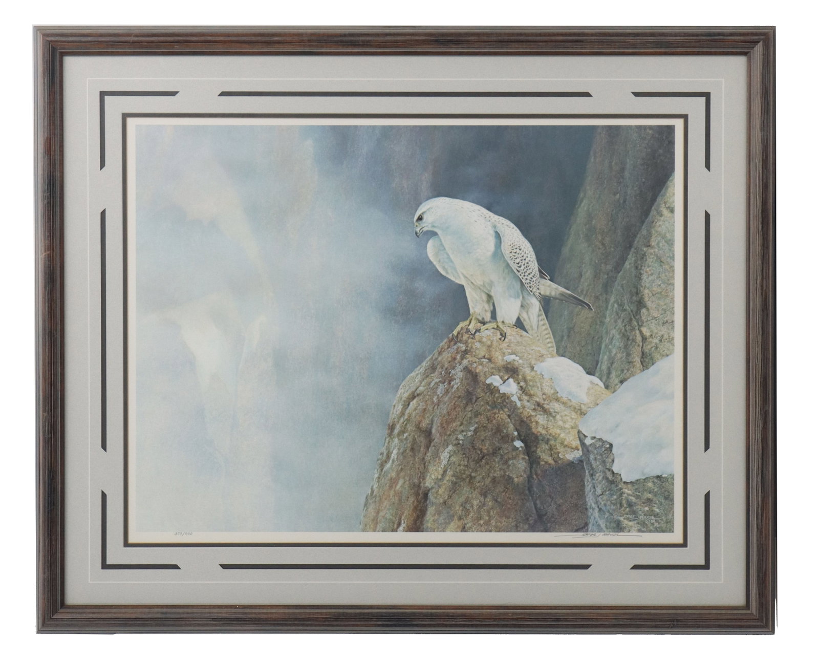 Jorge Mayol (Born 1948) Argentinian, Bird Print (1 of 7)