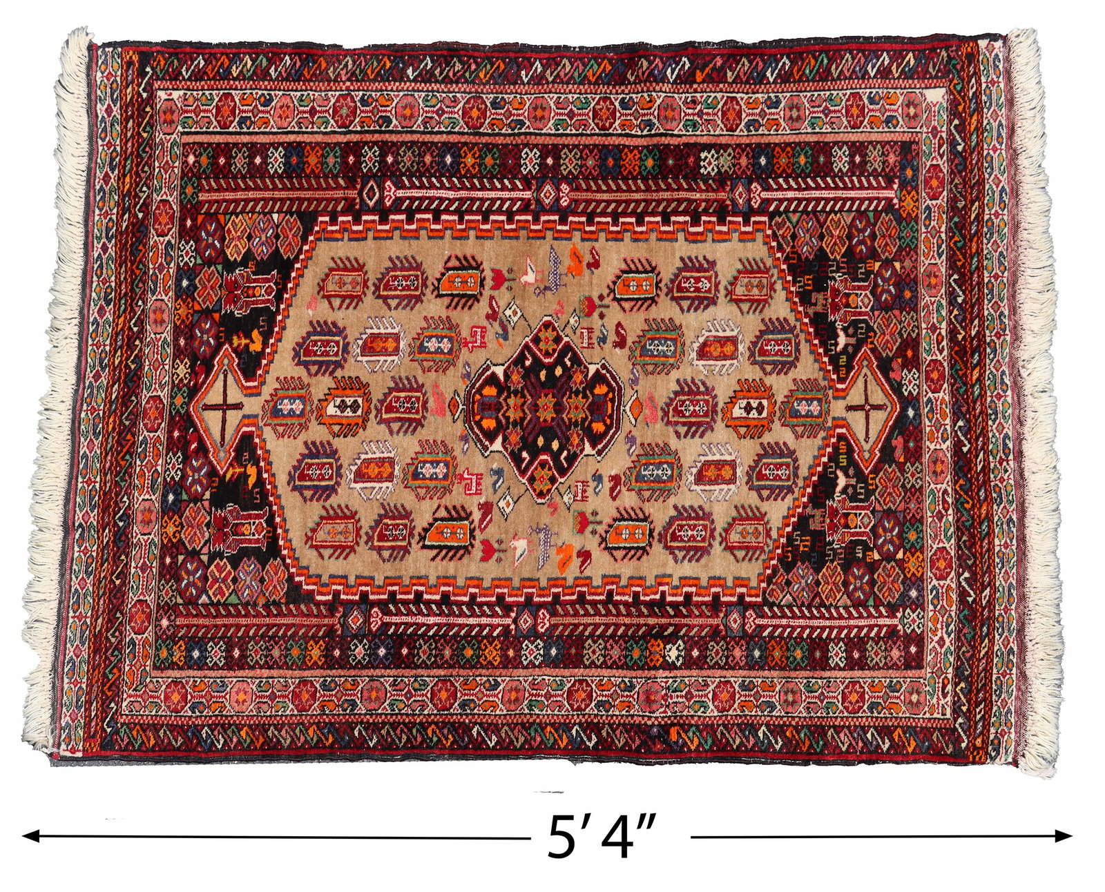 Persian Turkmen Kalat Gorgan Wool Rug (1 of 10)