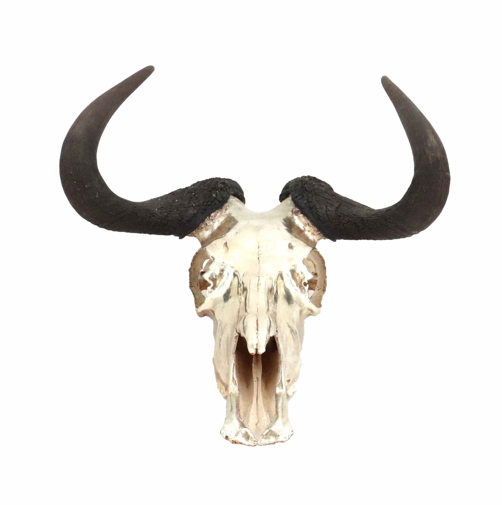 Gilt East African Adult Wildebeest Skull: Gilt East African Adult Wildebeest Skull. Size: 9 1/2 x 12 x 16 in. 