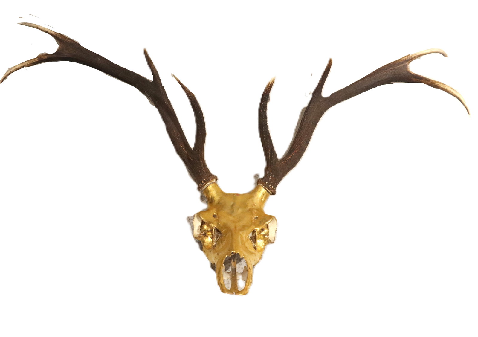 Decorative Gold-Toned Half-Antelope Skull with Detachable Horns (1 of 12)