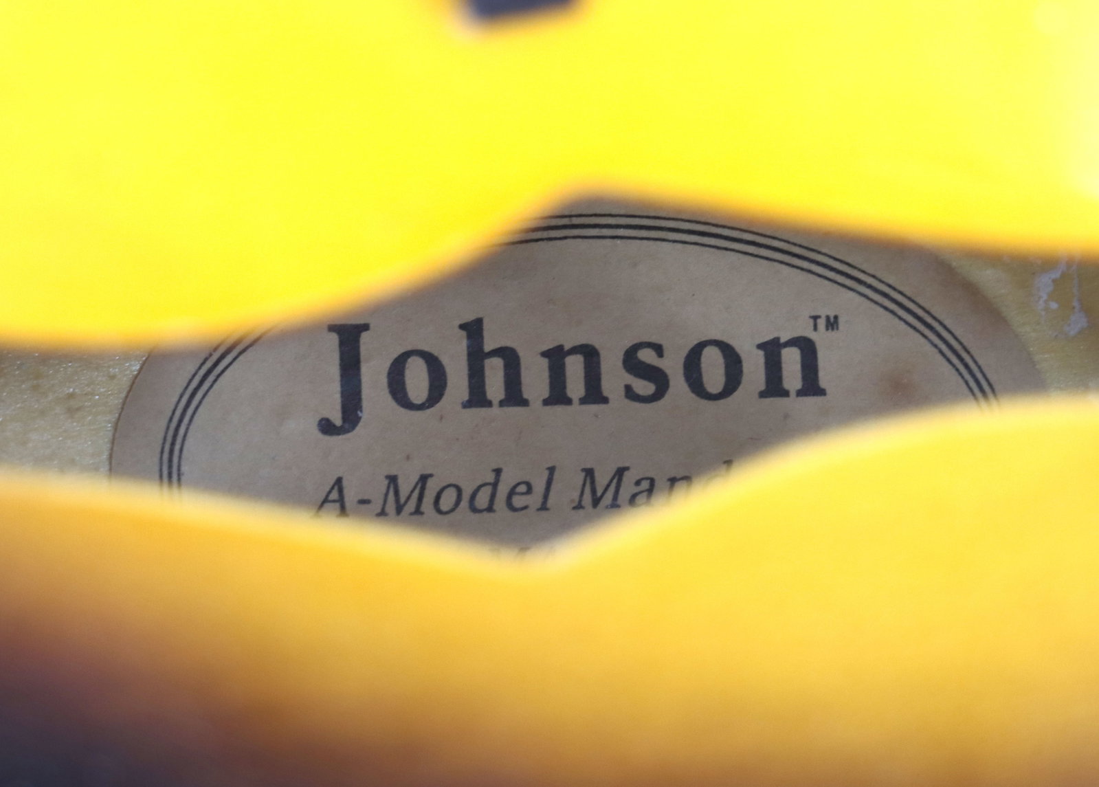 Johnson A-Model Mandolin MA-100 - 12
