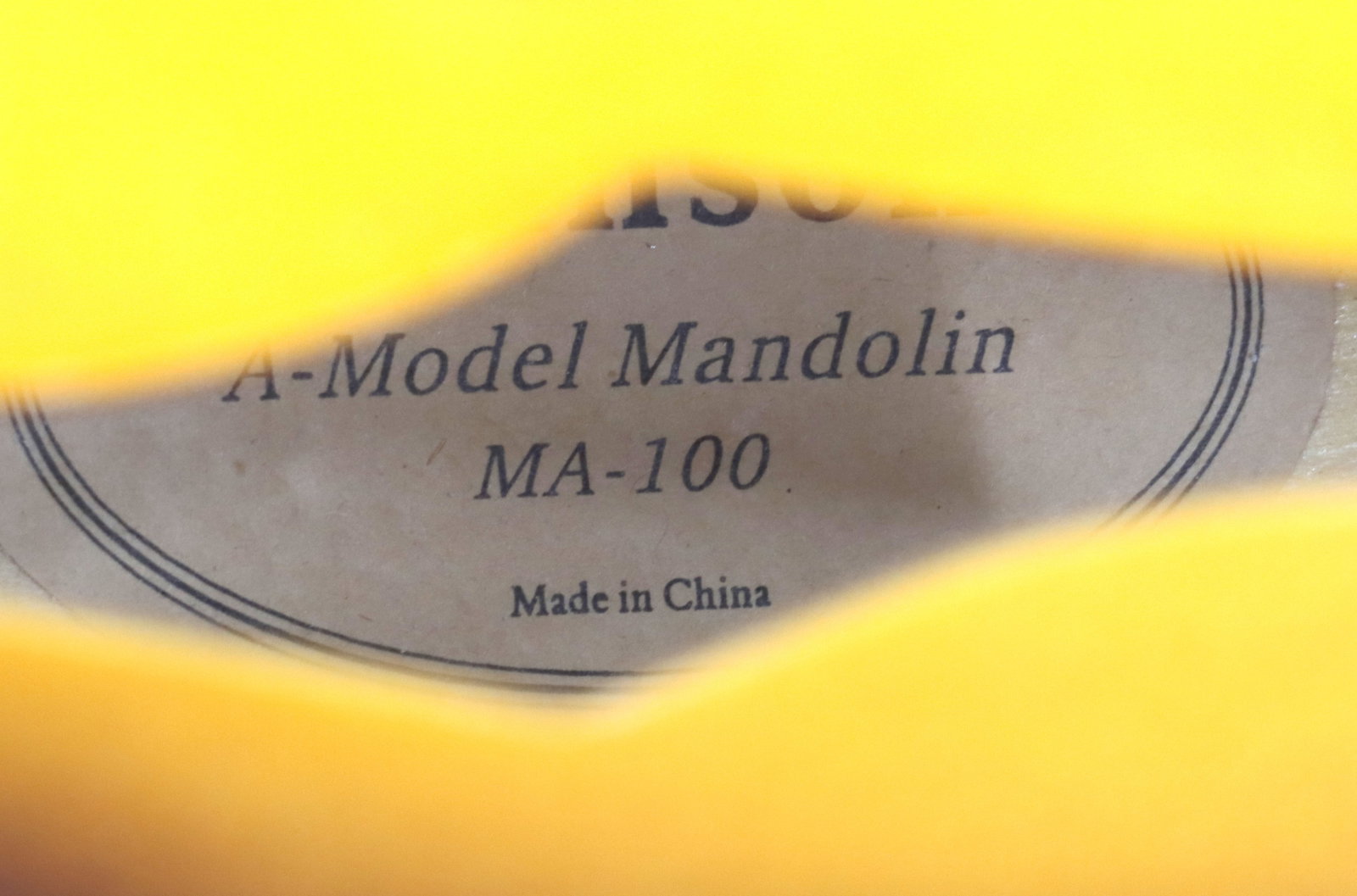 Johnson A-Model Mandolin MA-100 - 13