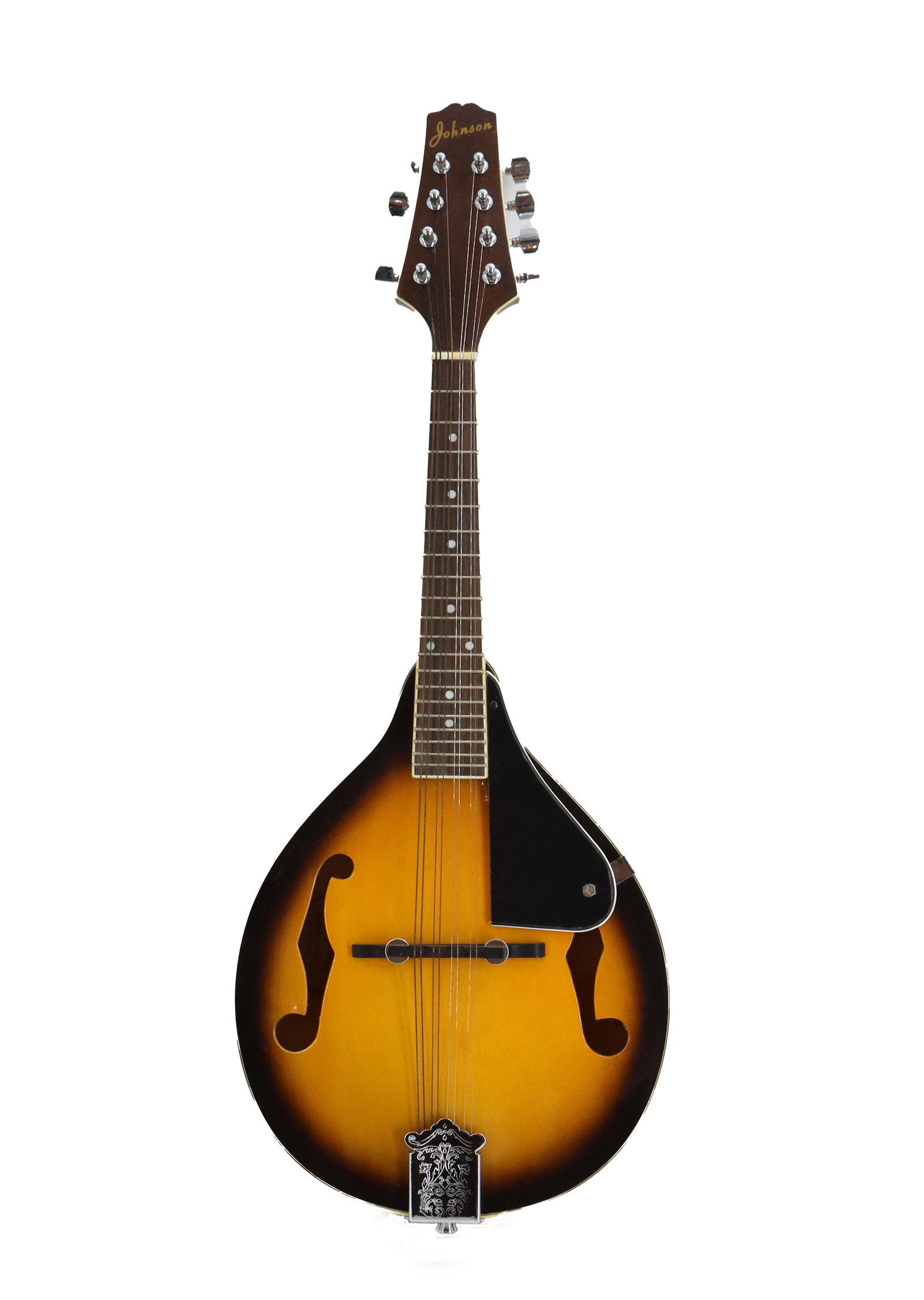 Johnson A-Model Mandolin MA-100 (1 of 17)