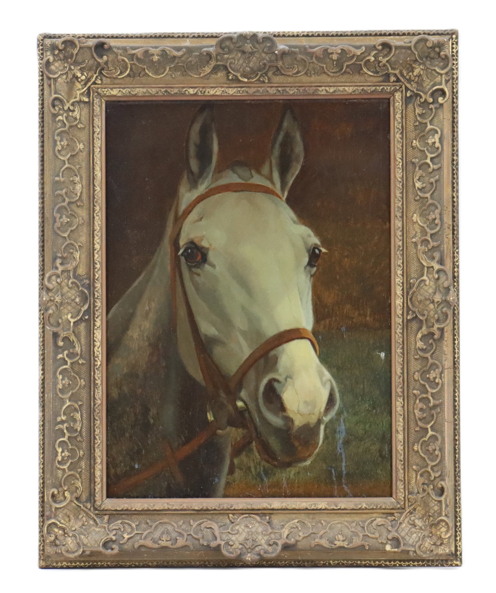 Eugen Osswald (1879-1960) German, "Hirsch" Horse Portrait Oil on Canvas: Eugen Osswald (1879-1960) German, "Hirsch" Horse Portrait Oil on Canvas. Image of a beautiful white Arabian horse's head, wearing a brown bridle. Signed and dated bottom left, partially