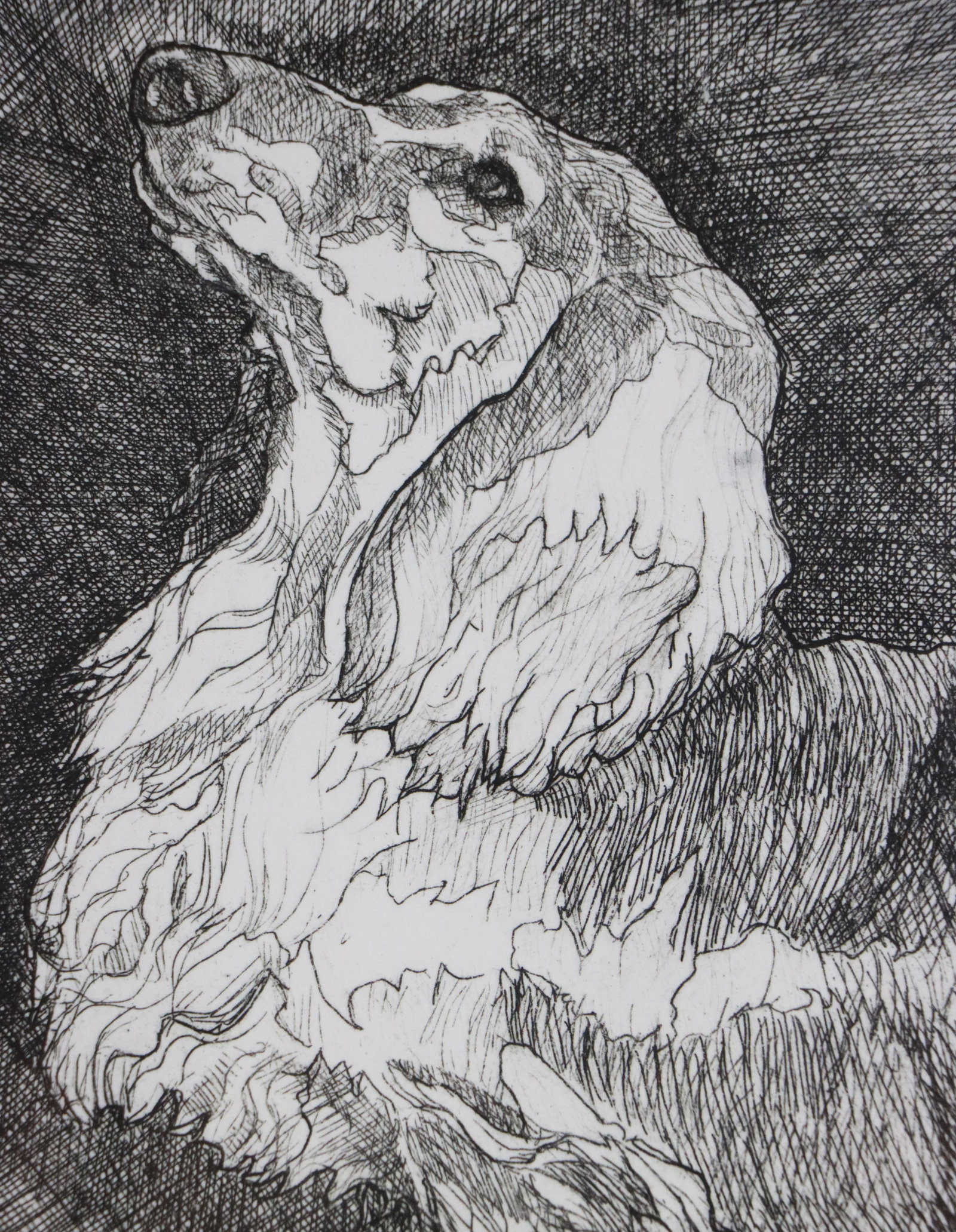Framed Signed "Dachshund" Etching Lithograph - 5