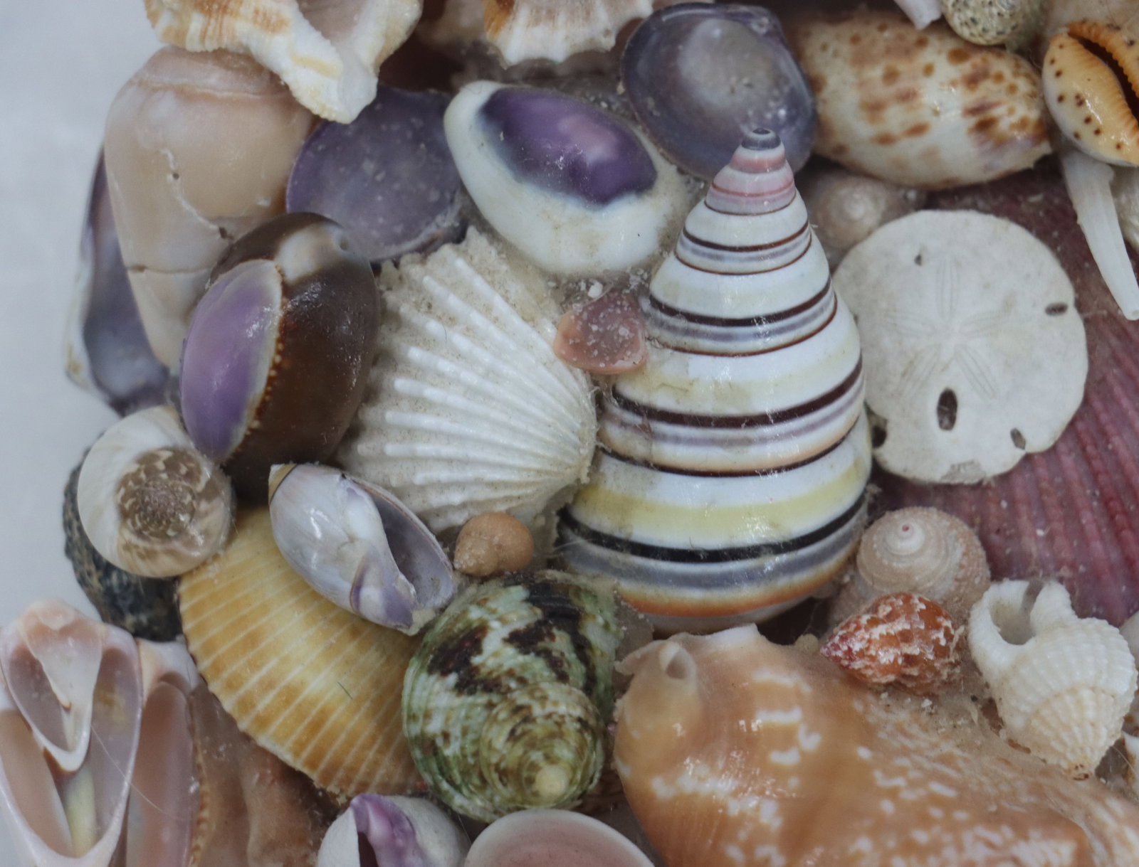 Seashell Heart Mirror - 10