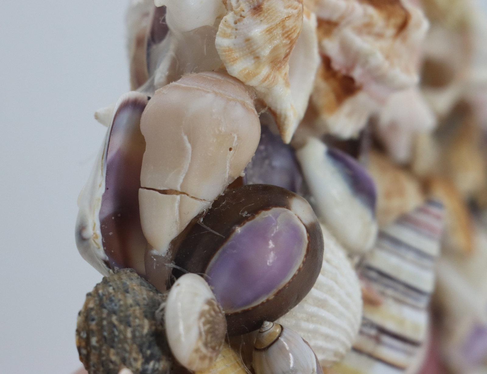 Seashell Heart Mirror - 12
