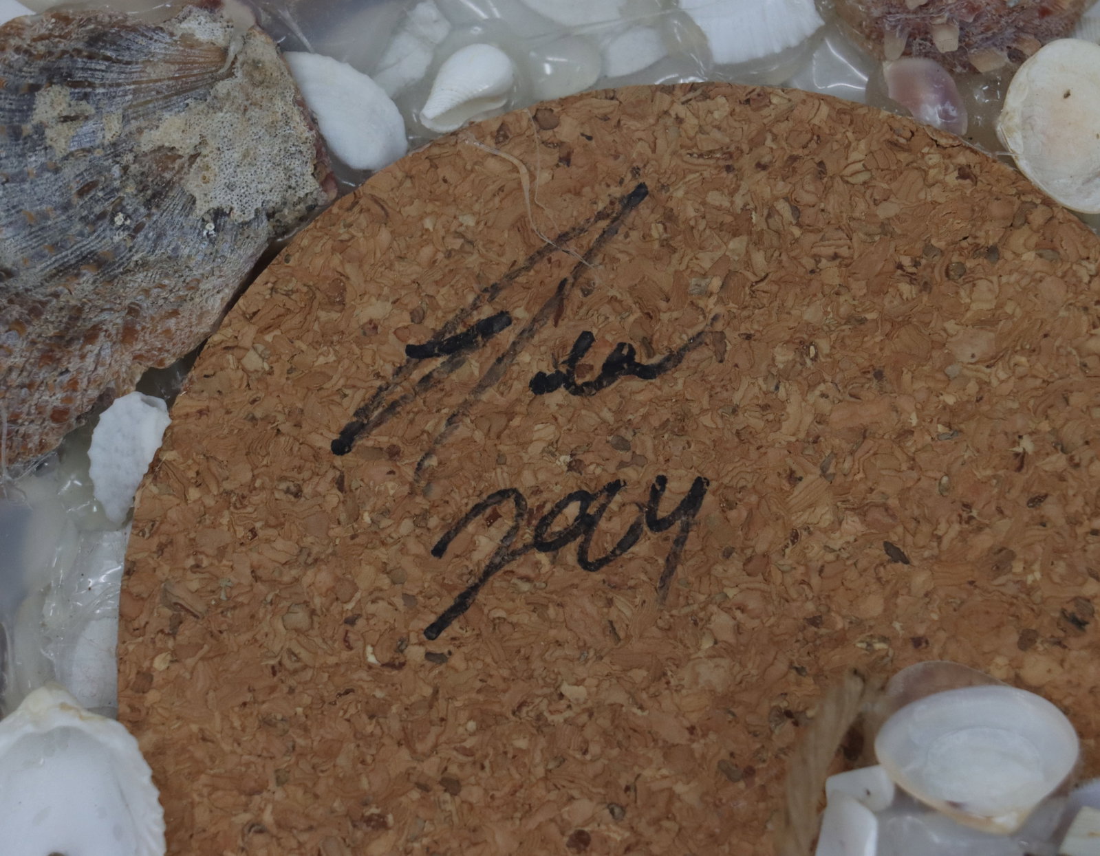 Seashell Heart Mirror - 14