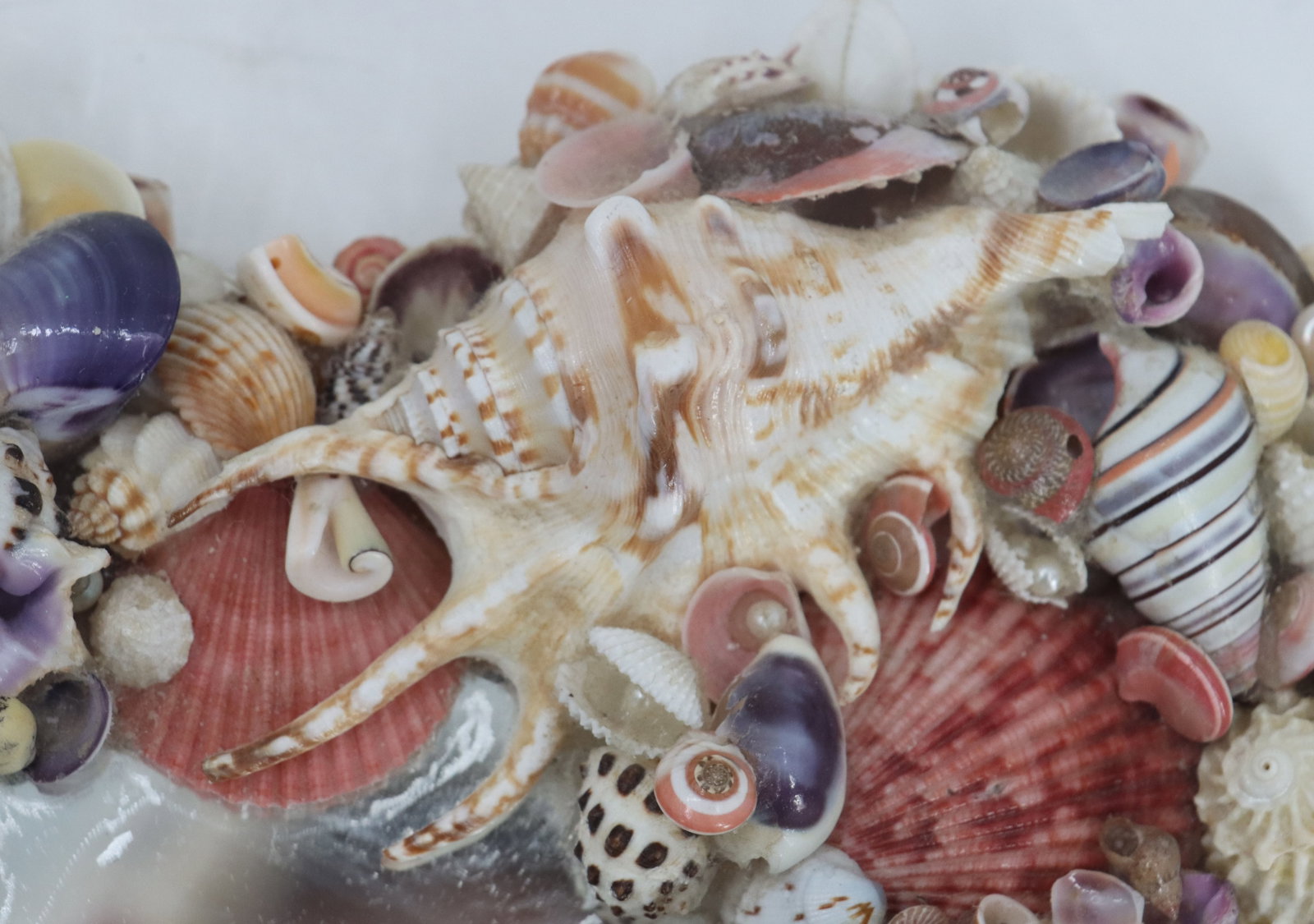 Seashell Heart Mirror - 7