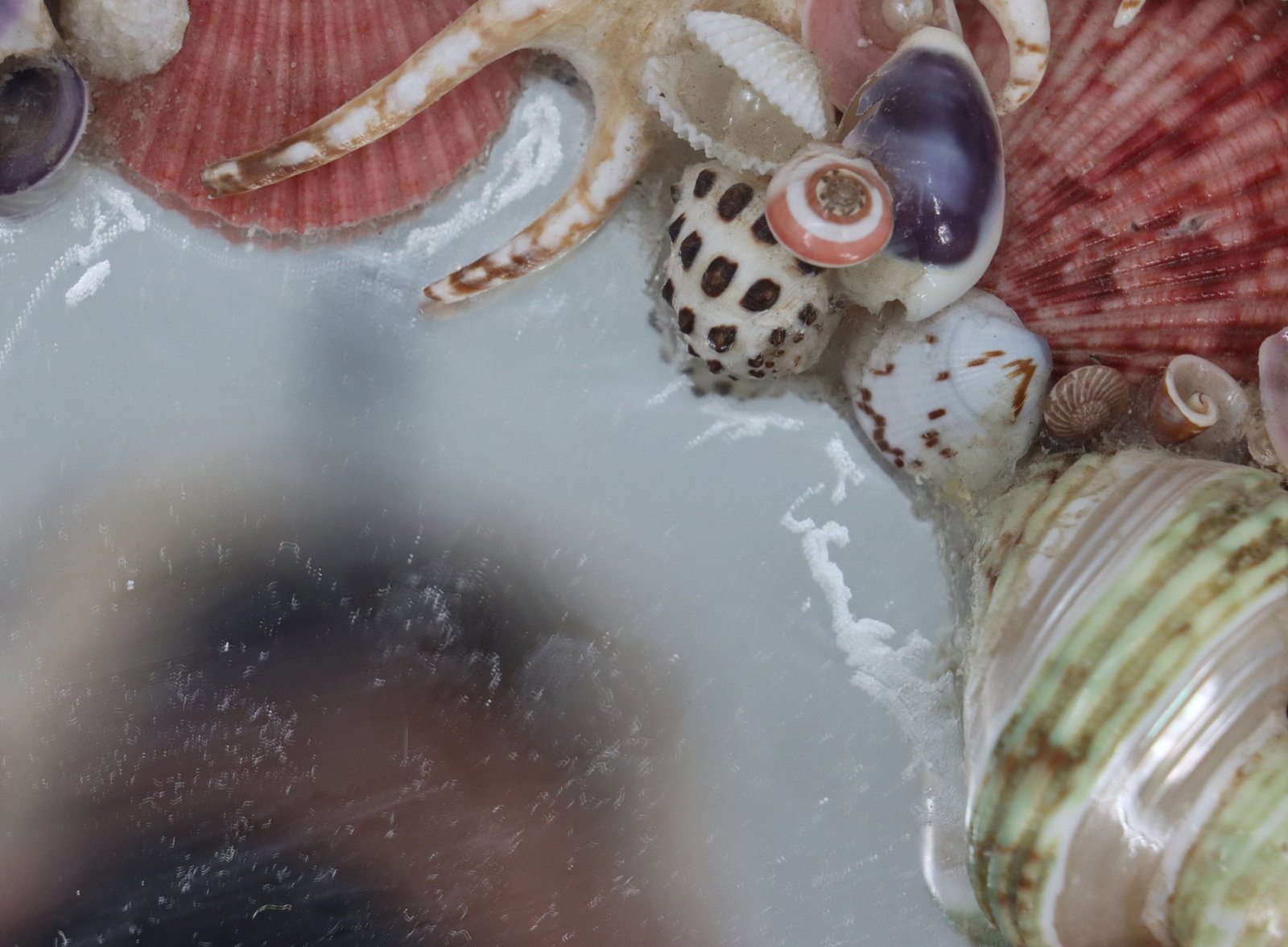 Seashell Heart Mirror - 8