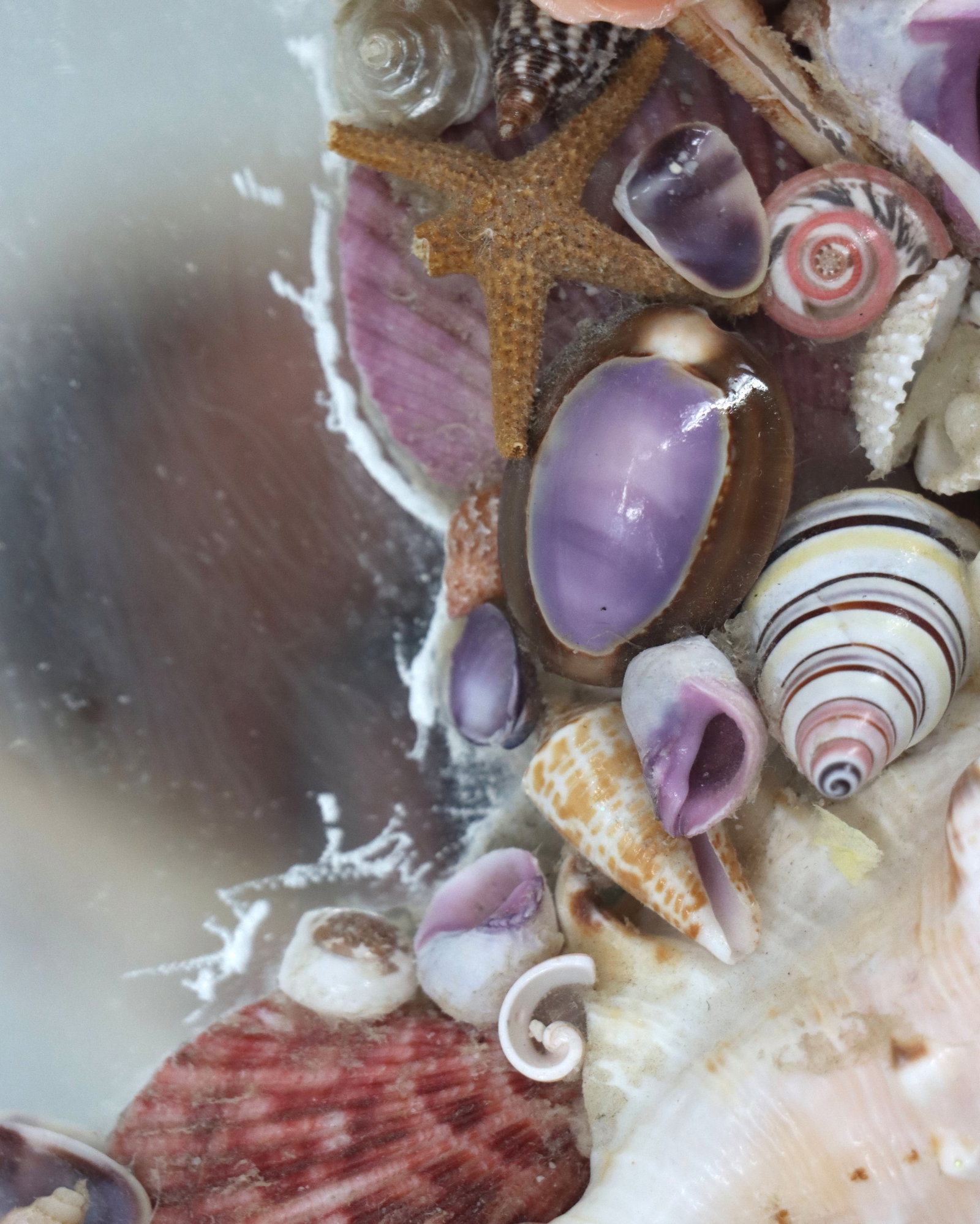 Seashell Heart Mirror - 9