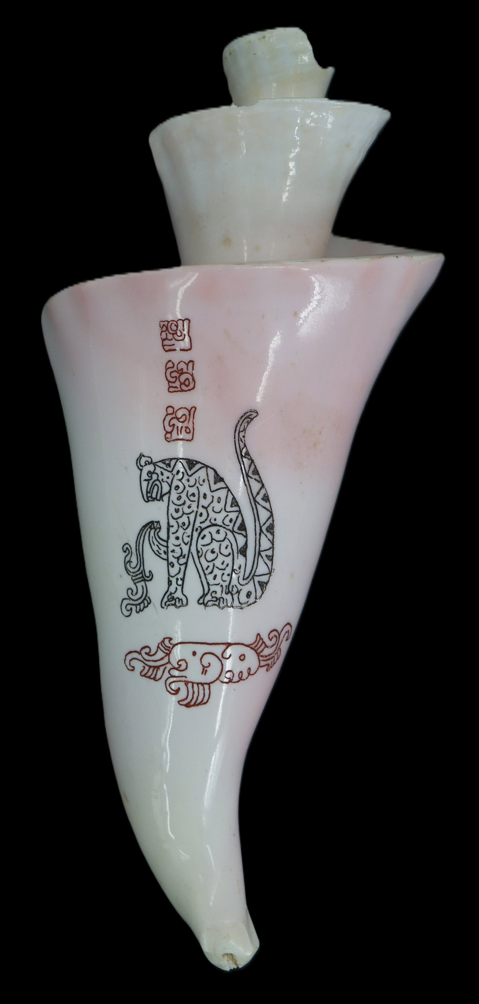 Cored Queen Conch Shell with Scrimshawed Mayan Hieroglyphic Designs: Cored Queen Conch Shell with Scrimshawed Mayan Hieroglyphic Designs. A unique piece of art emulating the works of the ancient culture, now found as folk art among their descendants in Central