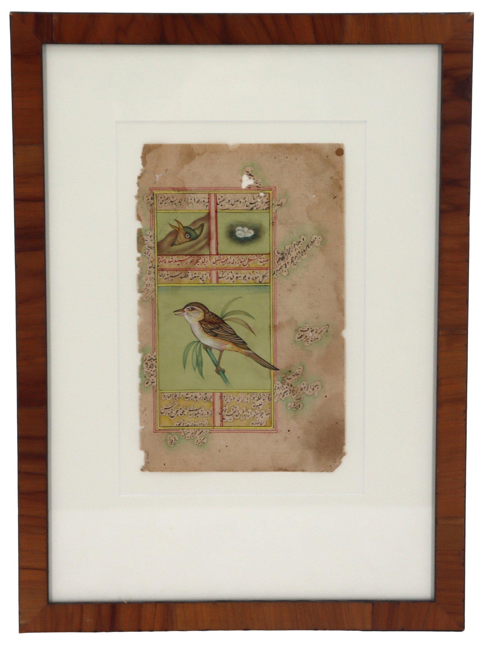 Antique Persian Illuminated Manuscript Leaf Depicting an Exotic Bird (1 of 8)