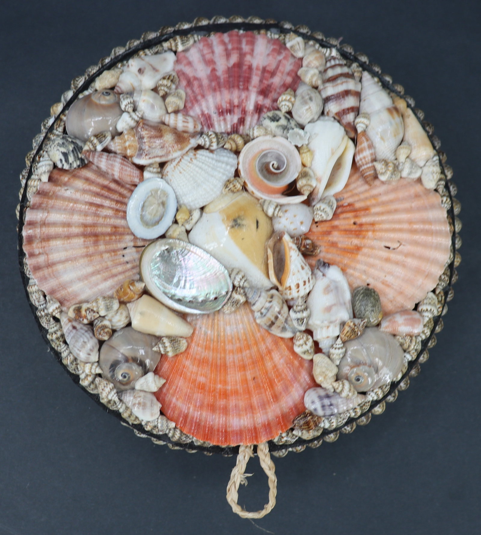 Round Shell and Felt Box - 2