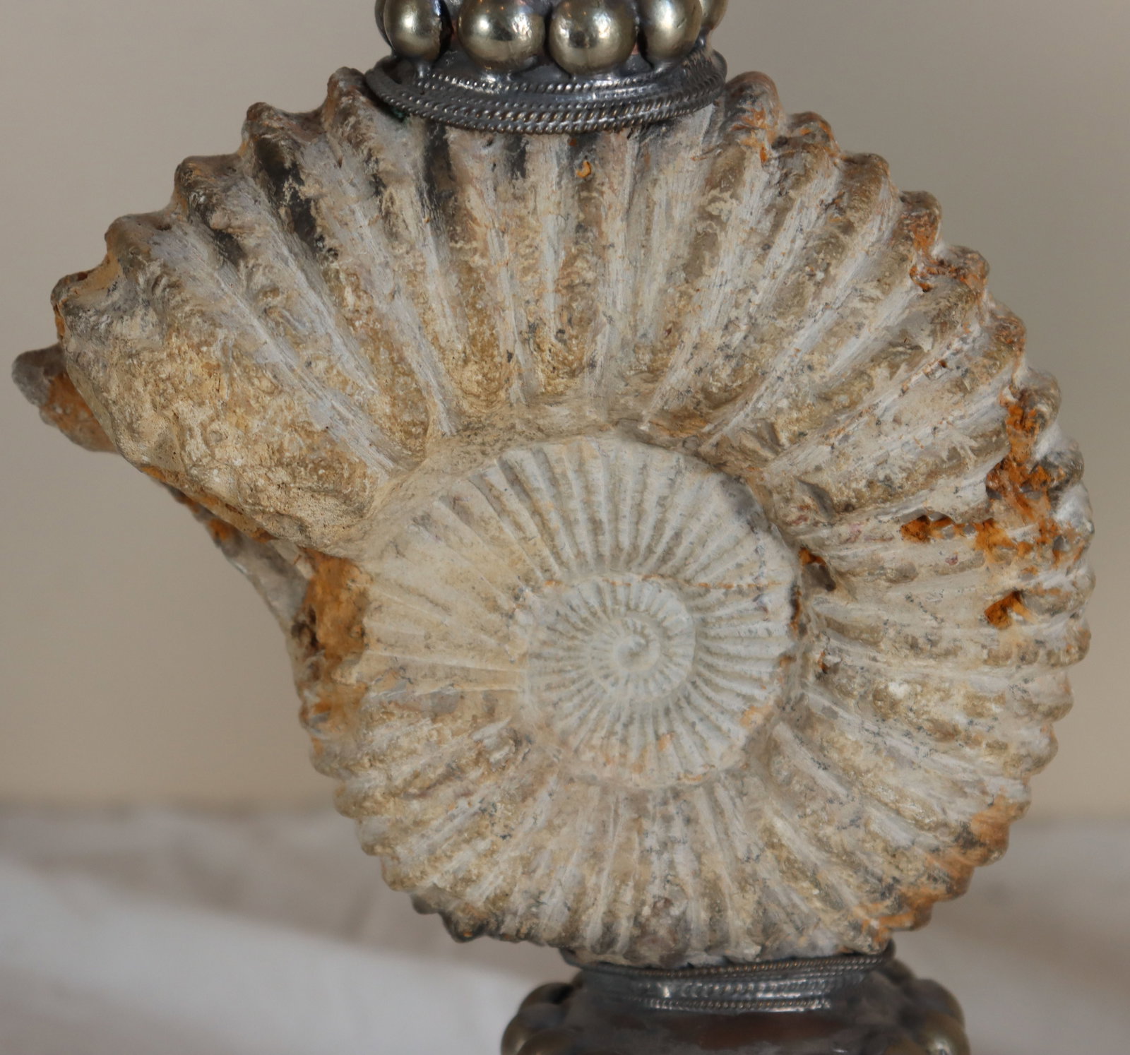 (2) Decorative Candlesticks with Large Ammonite Shells - 3