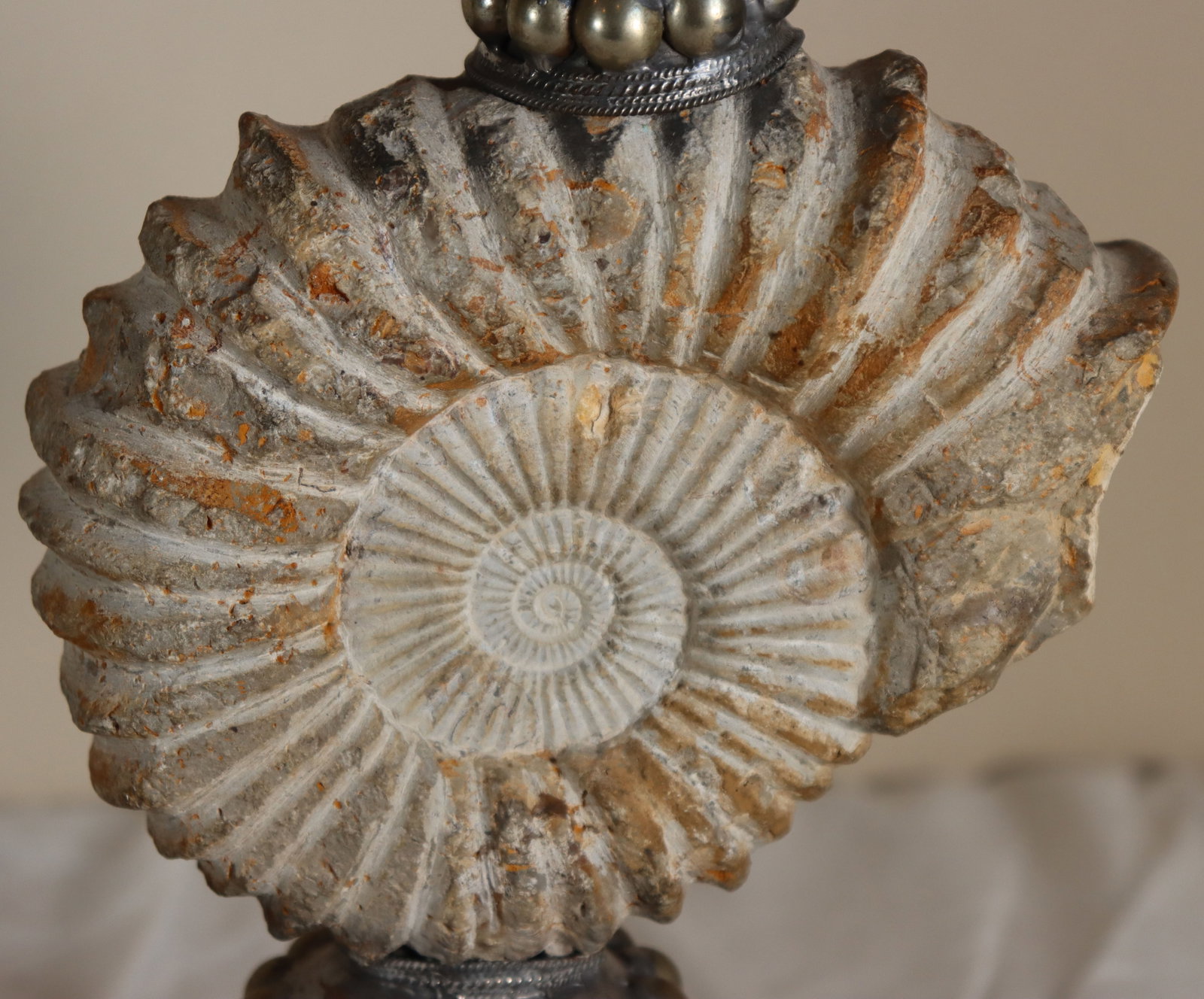 (2) Decorative Candlesticks with Large Ammonite Shells - 6