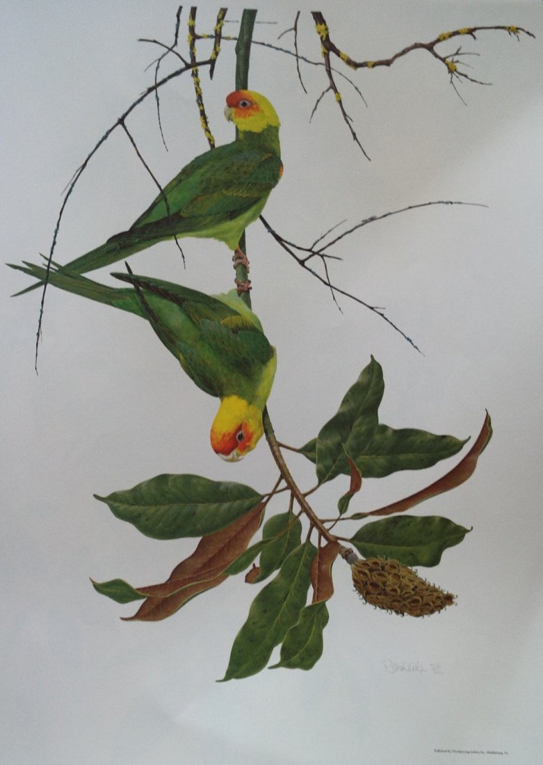 American 20th Century Robin Hill Lithograph: Listed 20th Century California Artist Robin Hill Signed and number Lithograph. A creator of assemblage pieces resembling labyrinthian shapes, Robin Hill is also a professor of art at the University of