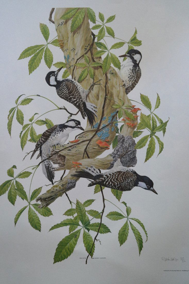 American 20th Century Robin Hill Lithograph: American 20th Century Robin Hill Lithograph. A creator of assemblage pieces resembling labyrinthian shapes, Robin Hill is also a professor of art at the University of California, Davis. Of one of her