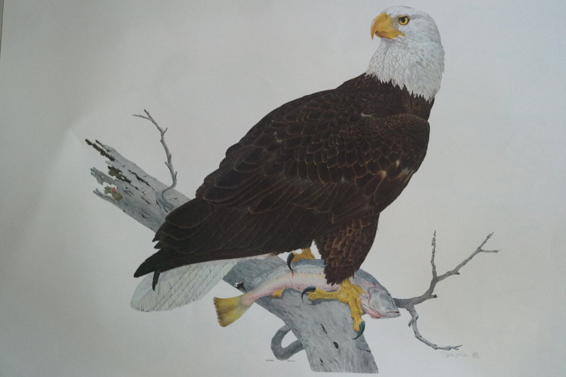 American 20th Century Robin Hill Bald Eagle Lithograph: American 20th Century Artist Robin Hill Bald Eagle Lithograph. A creator of assemblage pieces resembling labyrinthian shapes, Robin Hill is also a professor of art at the University of California, Dav