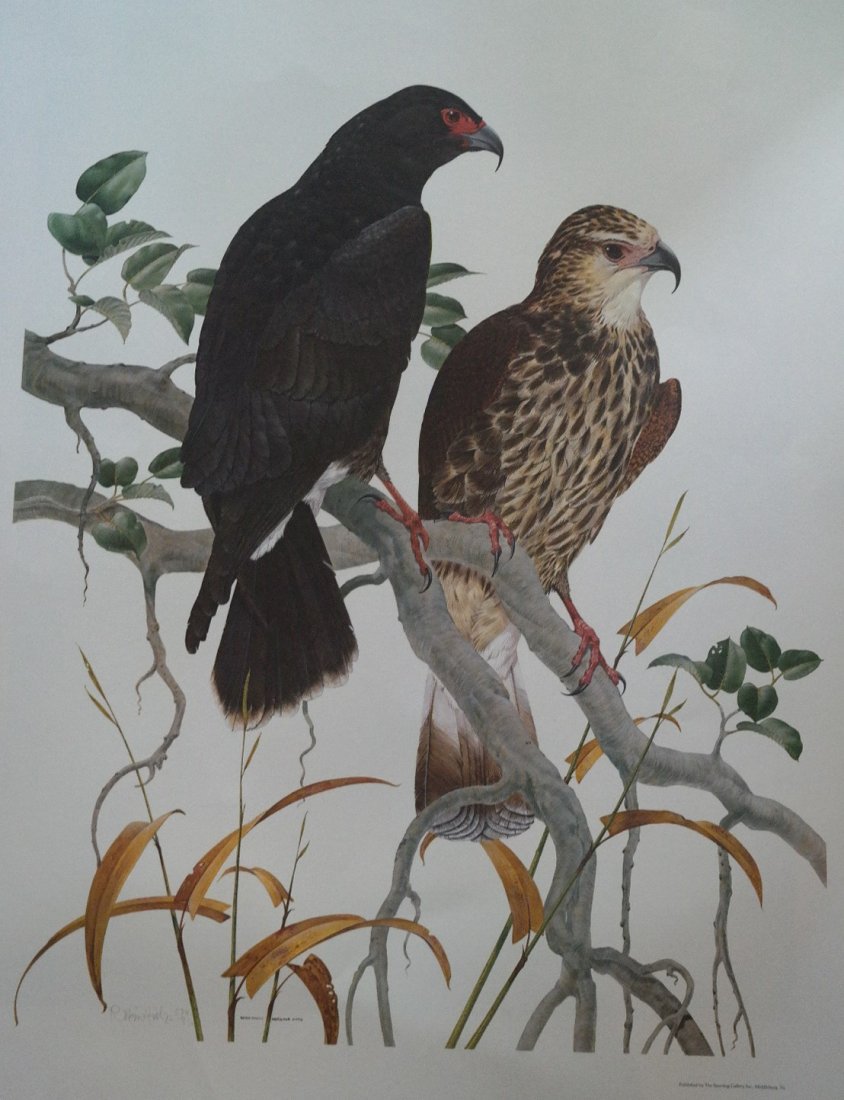 American 20th Century Robin Hill Lithograph: American 20th Century Robin Hill Lithograph. A creator of assemblage pieces resembling labyrinthian shapes, Robin Hill is also a professor of art at the University of California, Davis. Of one of her