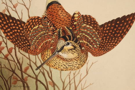 Louis Marie Jules Delapchier (act. 1900-1930): Louis Marie Jules Delapchier (French, act. 1900-1930). Signed watercolor of a woodcock. A well known sculptor, Delapchier also illustrated a book on birds titled "Petit Atlas des Oiseaux" Sight Size: