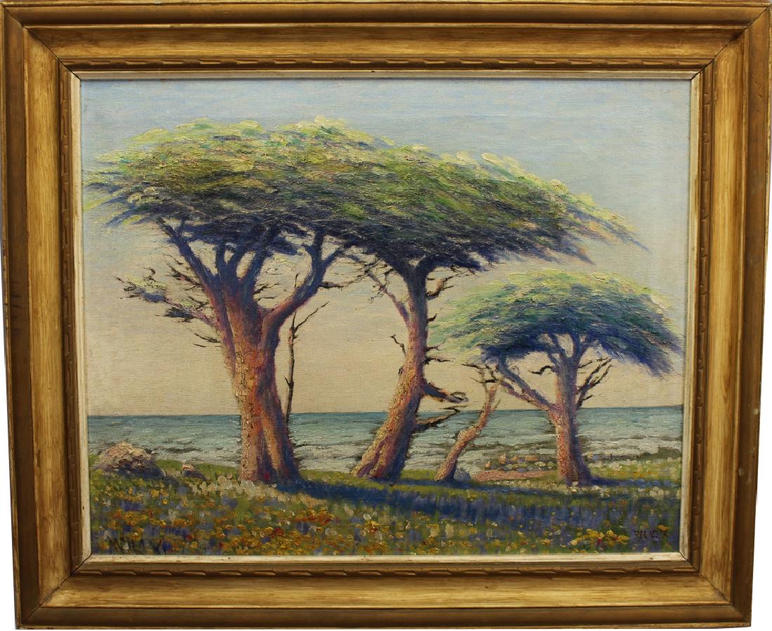 William Adam (1846 - 1931) Monterey Cypress (1 of 5)