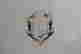 item-50887395=2