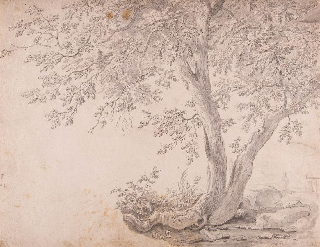 BALTHASAR ANTON DUNKER (ATTR.) 1746 Saal (Vorpommern) -: BALTHASAR ANTON DUNKER (ATTR.) 1746 Saal (Vorpommern) - 1807 Bern BAUMSTUDIE Tuschfeder und Tuschpinsel auf chamoisfarbenem Papier. 33 x 43 cm. Unten rechts monogrammiert 'D. f.'. Besch. und rest., fl