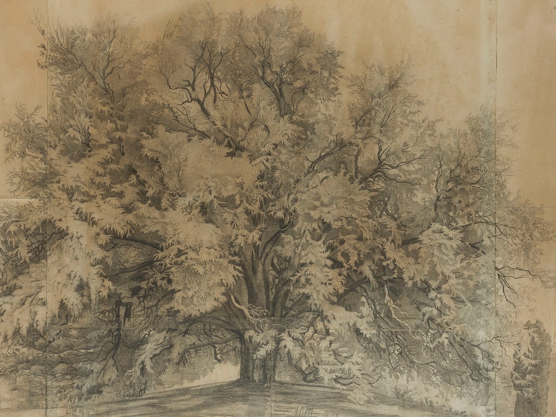 ADOLPH VON MENZEL (ZUGESCHRIEBEN) | EICHE. 1871 (1 of 2)