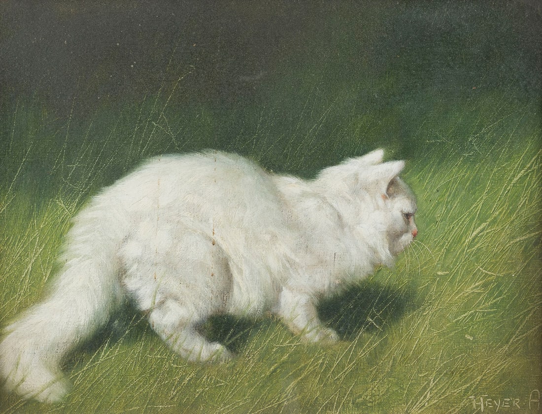 ARTHUR HEYER | WEIßE KATZE IM HOHEN GRAS (1 of 2)