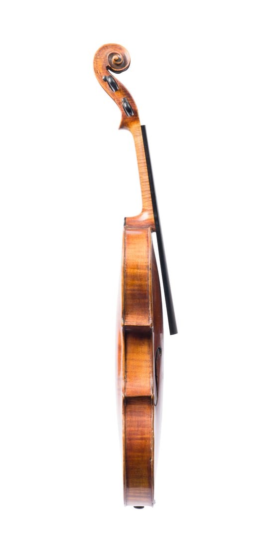 | VIOLINE 'GRAINGEOT' - 3
