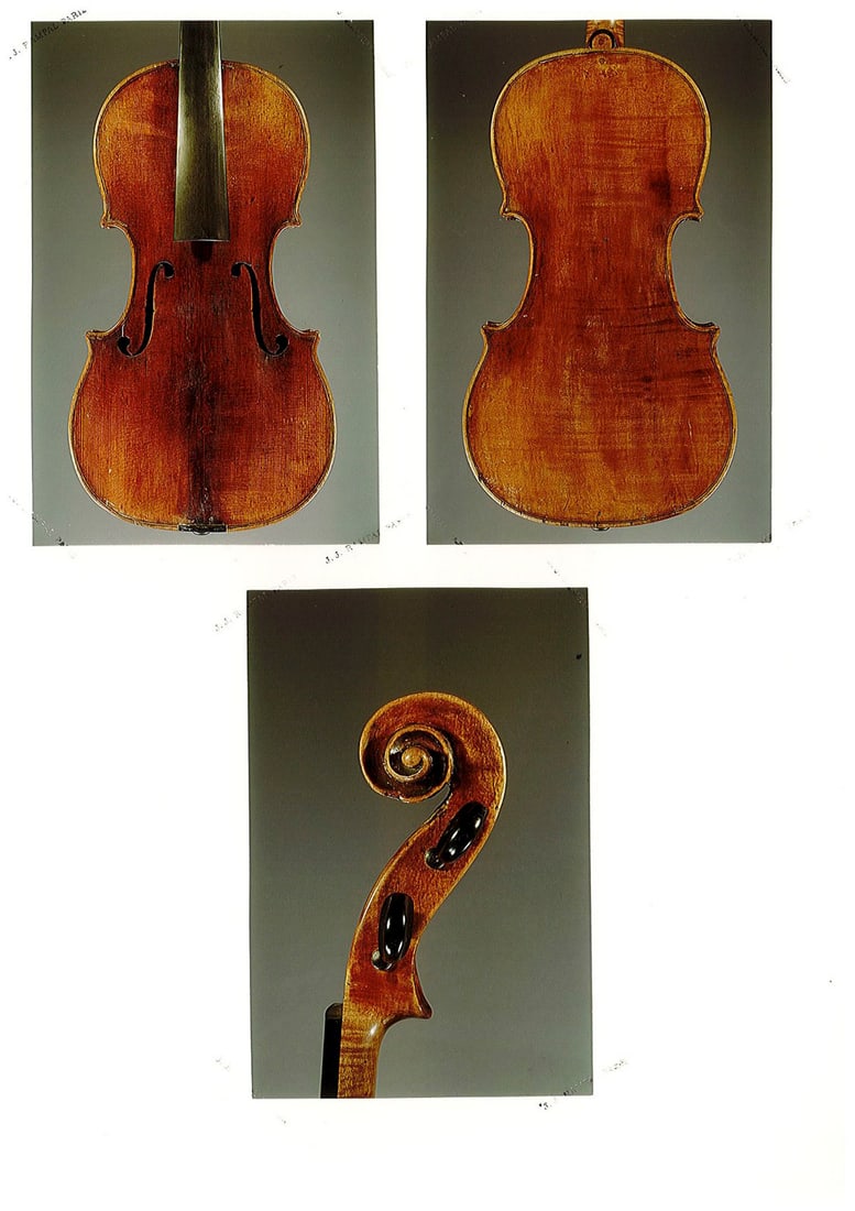 | VIOLINE 'GRAINGEOT' - 8