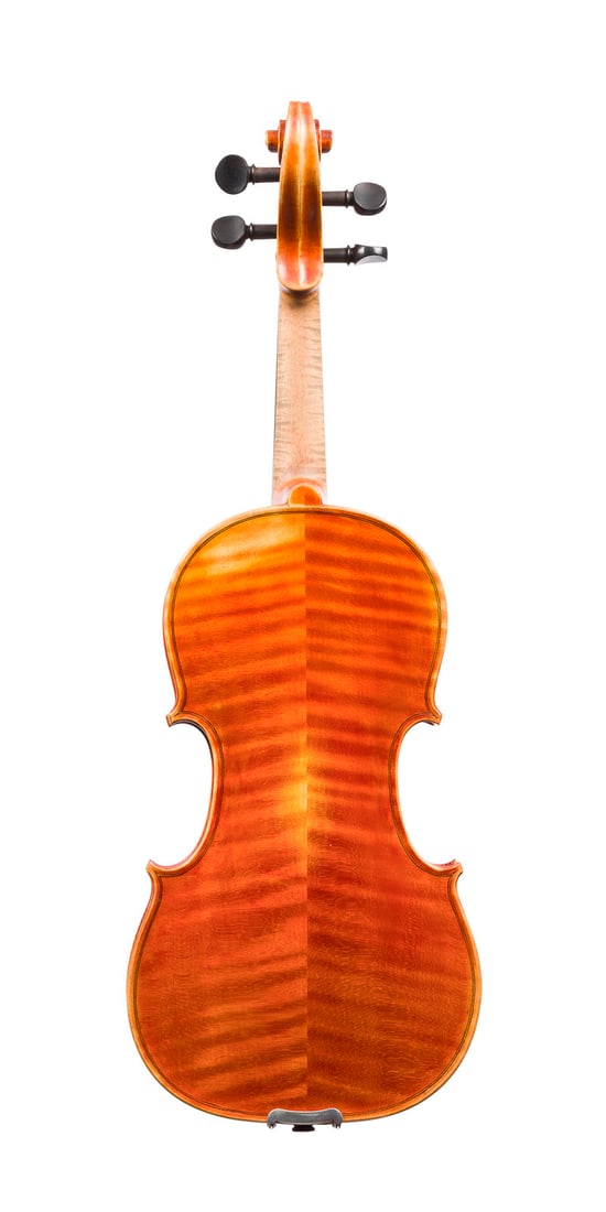 | VIOLINE - 2