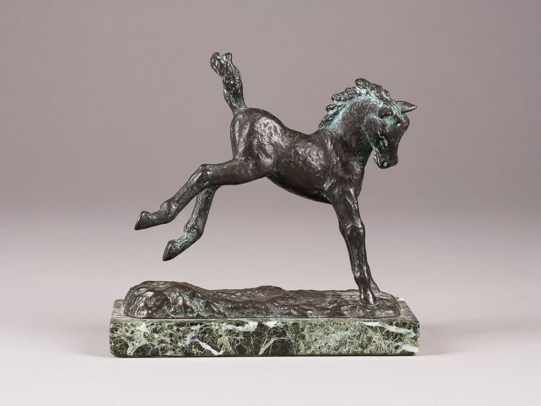 ANTONIN MARA | GALOPIERENDES FOHLEN (1 of 3)