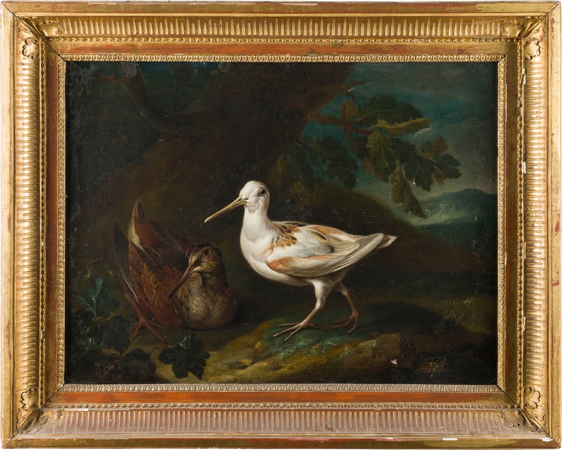 OHILIPP FERDINAND DE HAMILTON (ATTR.) | WEISSE SCHNEPFE: OHILIPP FERDINAND DE HAMILTON (ATTR.) Um 1664 Brüssel - 1750 Wien WEISSE SCHNEPFE Öl auf Leinwand (doubl.). 46 x 61 cm (R. 61 x 76 cm). Part. min. altrest., part. Altretuschen, leichter Farbverlust.