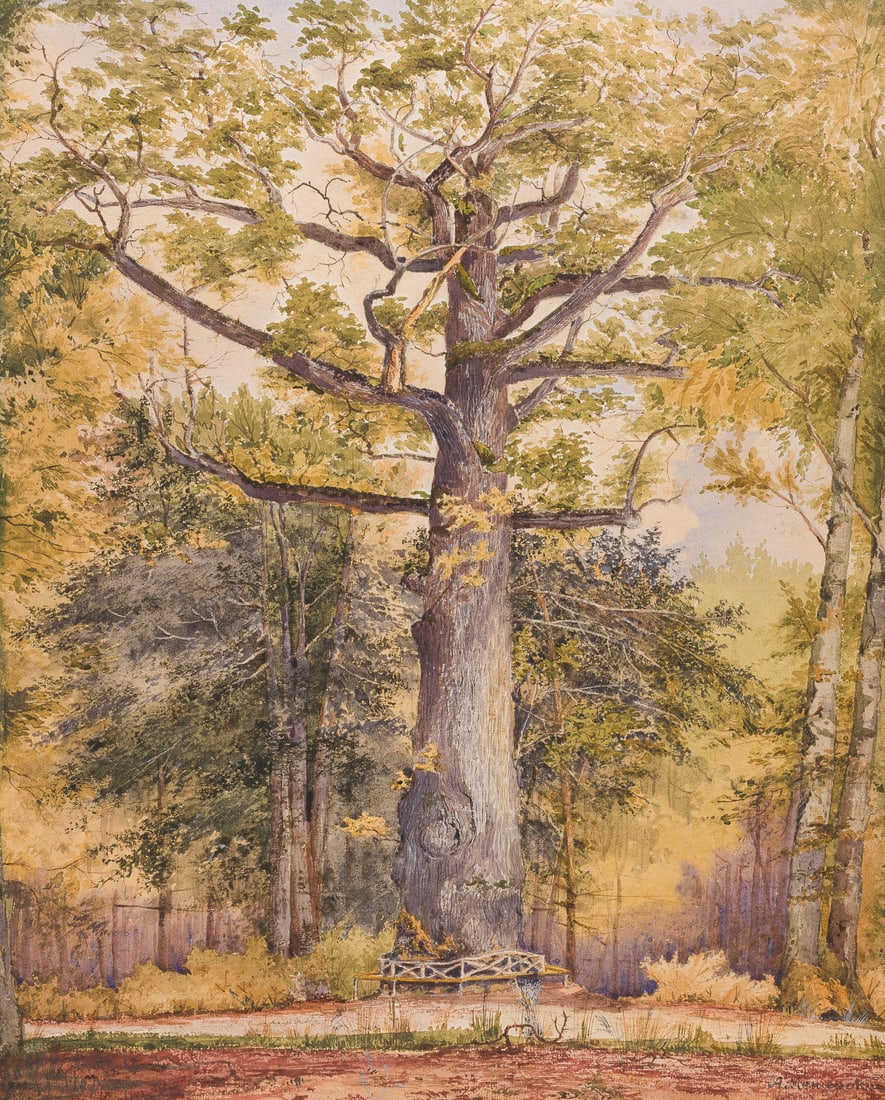 ARSENI IWANOWITSCH MESCHTSCHERSKI (UMKREIS) | GROssE EICHE (1 of 1)