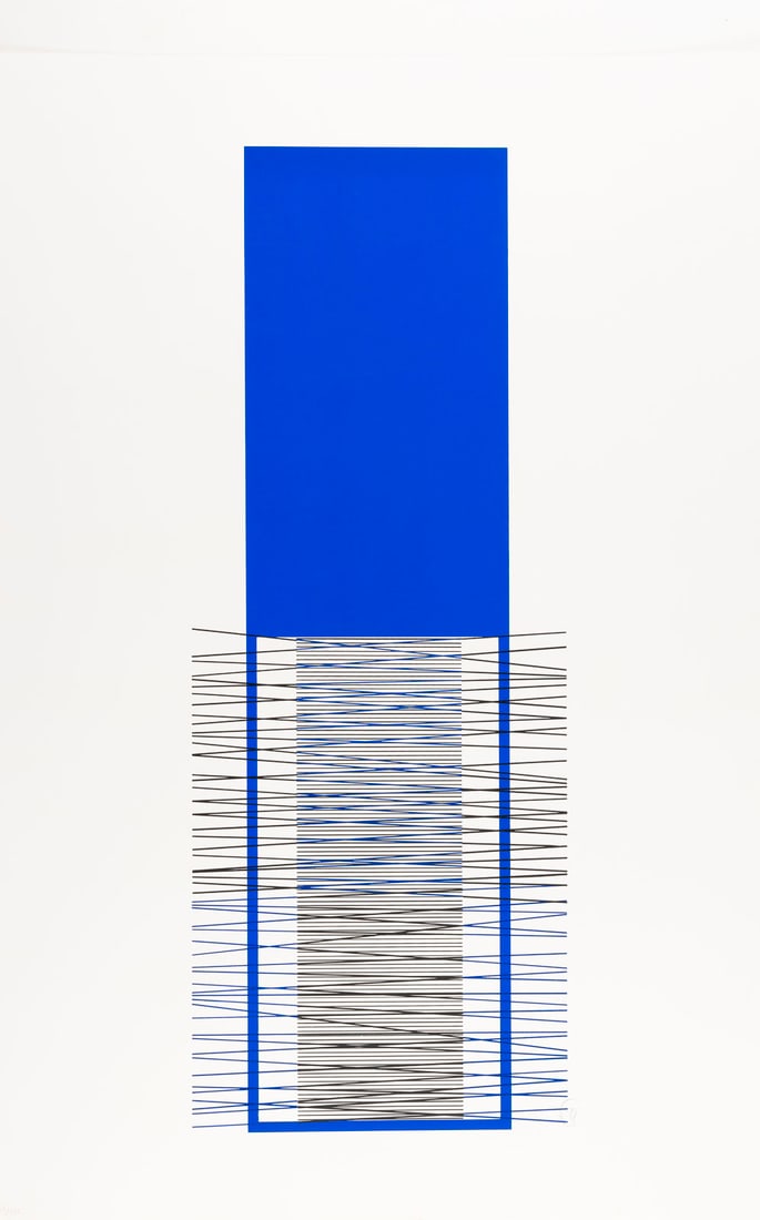 JESUS RAFAEL SOTO | OHNE TITEL (1 of 1)