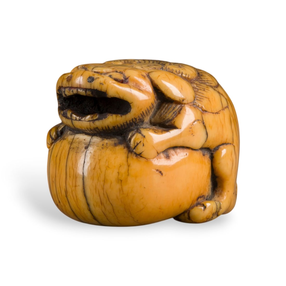 EIN NETSUKE EINES SHISHI MIT KUGEL AUS ELFENBEIN (1 of 3)