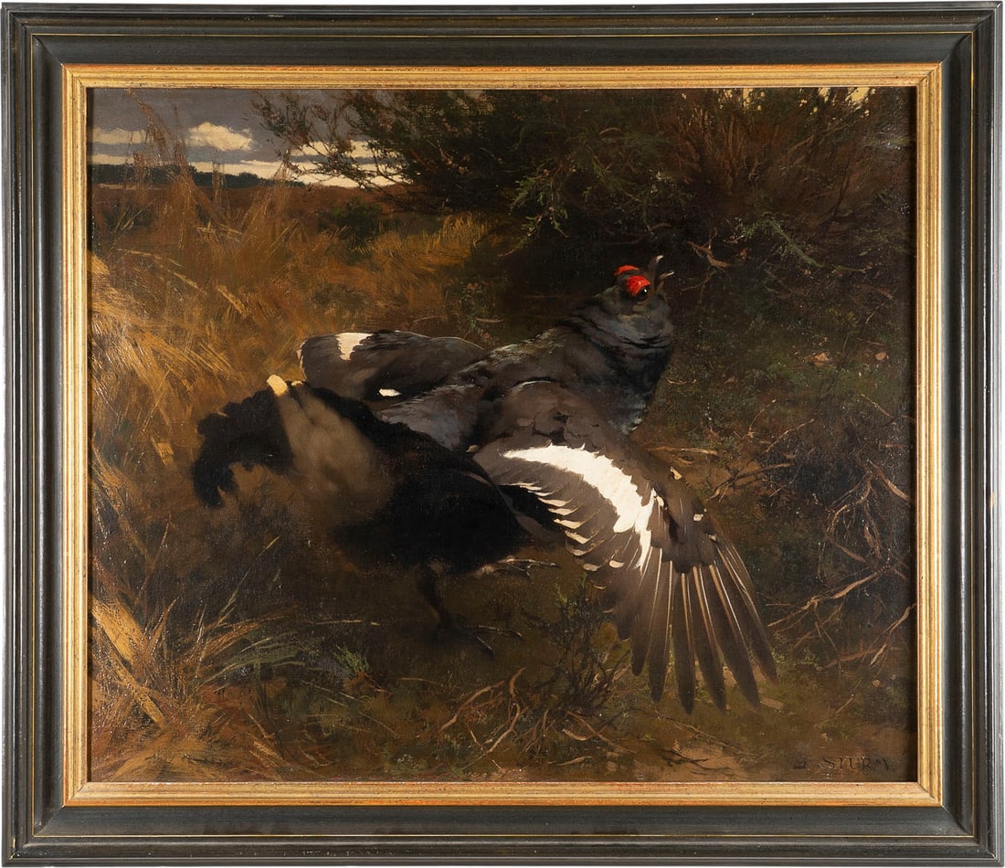 GEORG STURM | BIRKHAHN - 2