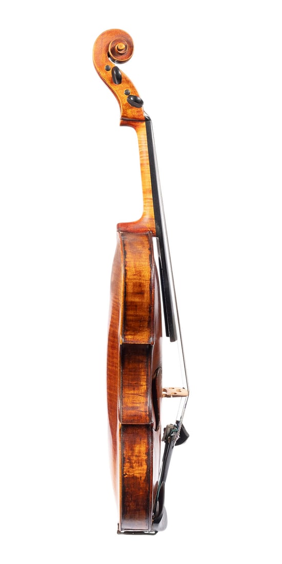 | FEINE VIOLA - 3