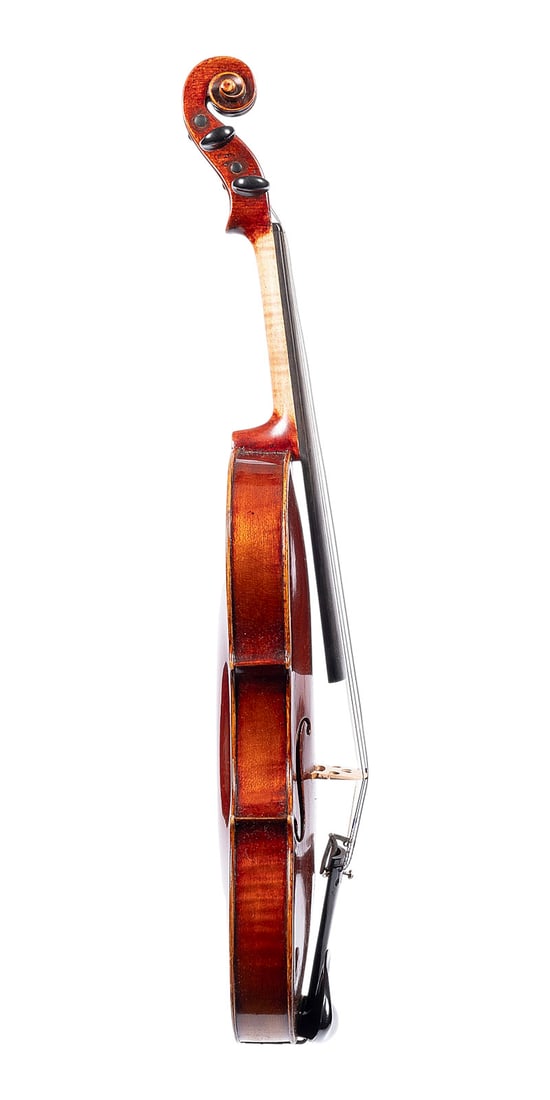 | VIOLINE - 3