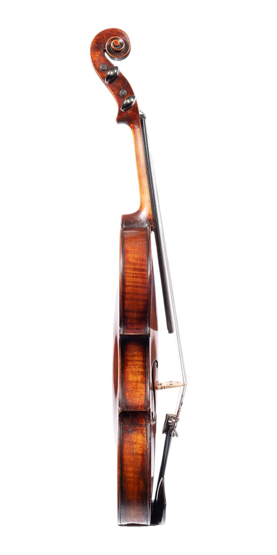 | VIOLINE - 3
