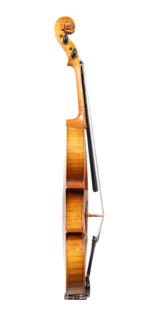 | VIOLINE - 3