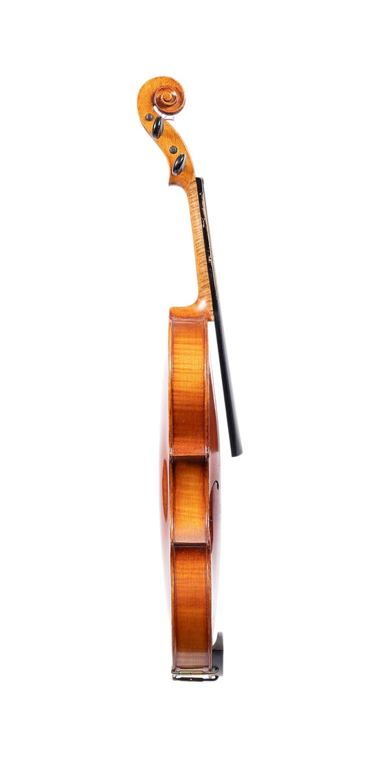| VIOLINE - 3