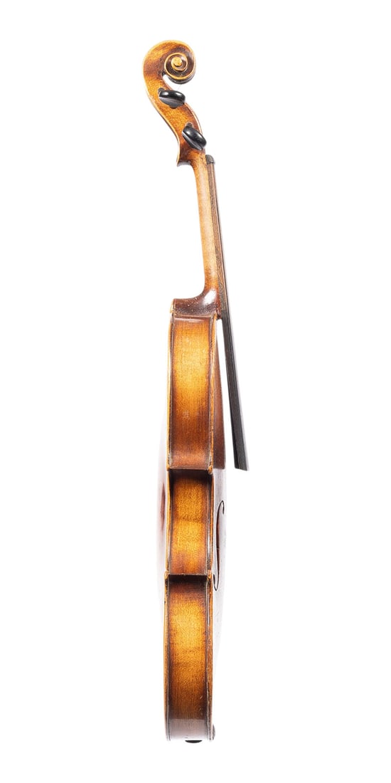 | VIOLINE - 3