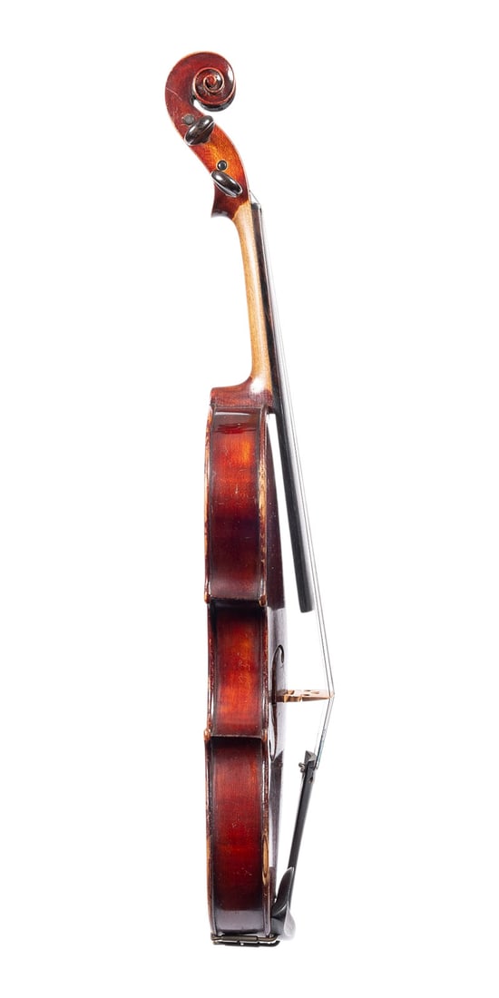 | VIOLINE - 3